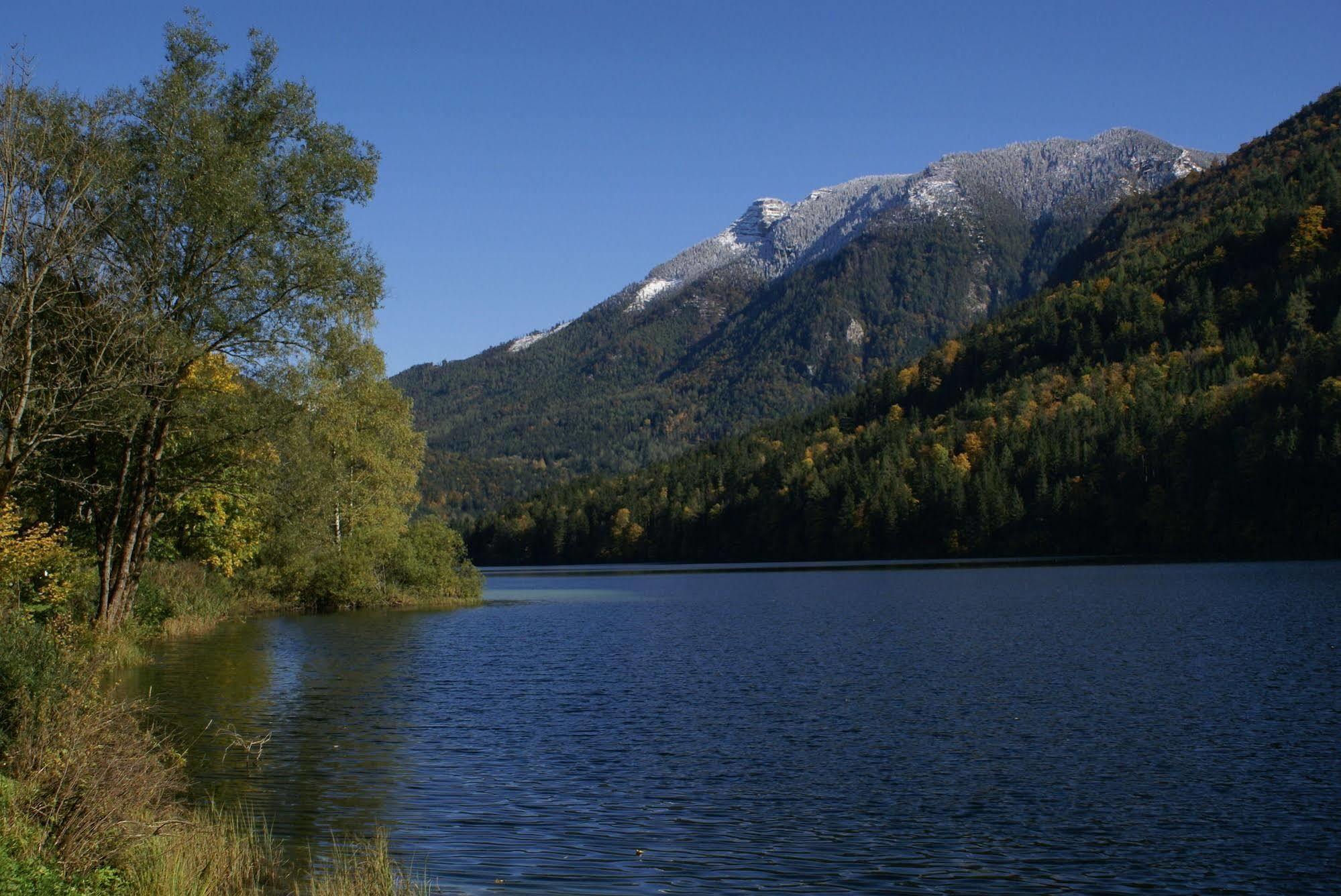 Landhotel Zellerhof Lunz am See Eksteriør billede